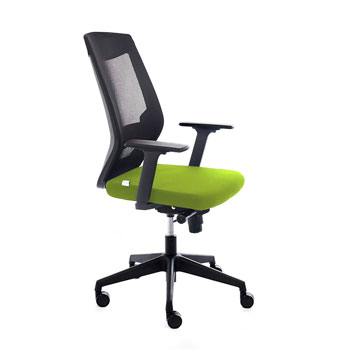 SILLA OFICINA REEGULACION LUMBAR RESPALDO MALLA NE VERDE foto del producto Vista Principal L